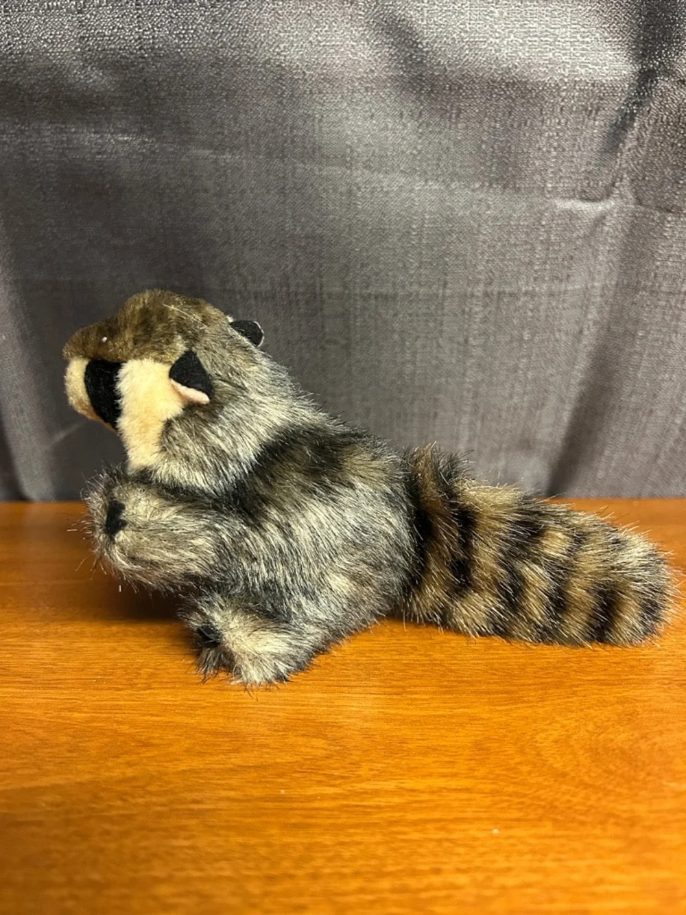 Plush Raccoon Stuffed Animal - Brown and Gray - Picture 2 of 6